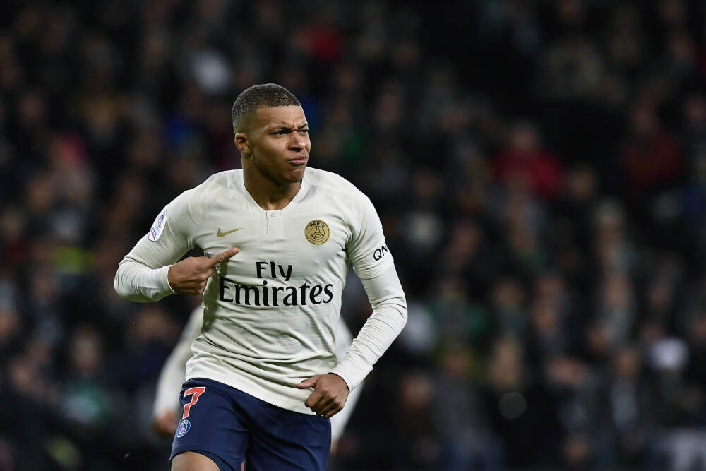 疯狂动物城2里的动物原型 树蟒科蛇类的灵感来源